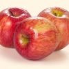 buy apple shimla himachal online at best price buy safarchand shimla himachal online at best price