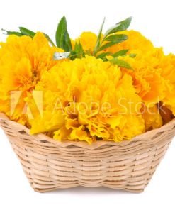 Marigold (Yellow) | झेंडू | गेंदा Loose