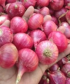 Onion - Small Size | कांदा छोटा | 1 KG - Small Size