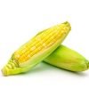 buy sweet corn grade a online at best price buy makai makka online at best price