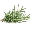 buy rosemary online at best price