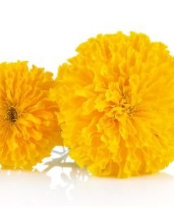Marigold Flower | झेंडू फुले | गेंदा फुल | 250 gm