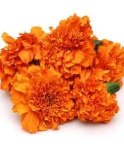 Orange Marigold Flower | केशरी झेंडू फूल | 250 gm
