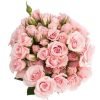 Pink Rose | गुलाबी गुलाब | 5 Pcs
